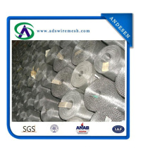 SUS304 Stainless Steel Wire Mesh (316, 316L, 304 S. S wire)